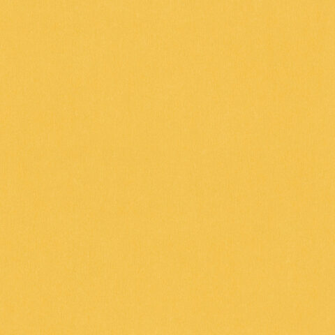 Lastetapeet Little Love 383143