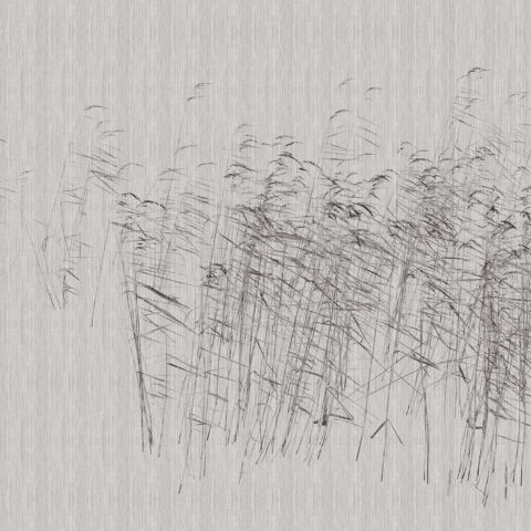 Pilttapeet "At The Pond 2"