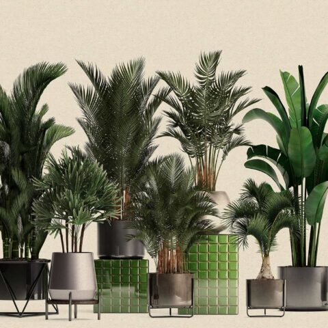 Pilttapeet "Plant Shop 1"