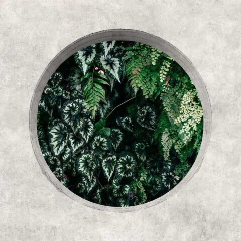 Pilttapeet "Deep Green 1"