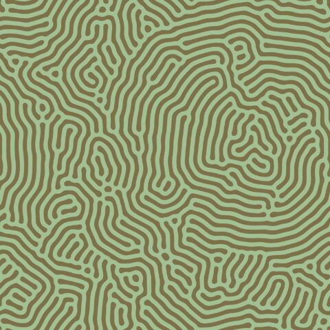 Pilttapeet "Sahel 1"